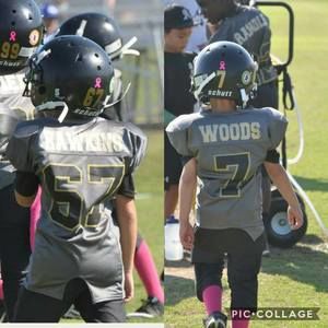 Meet your Posher, Cheyenne